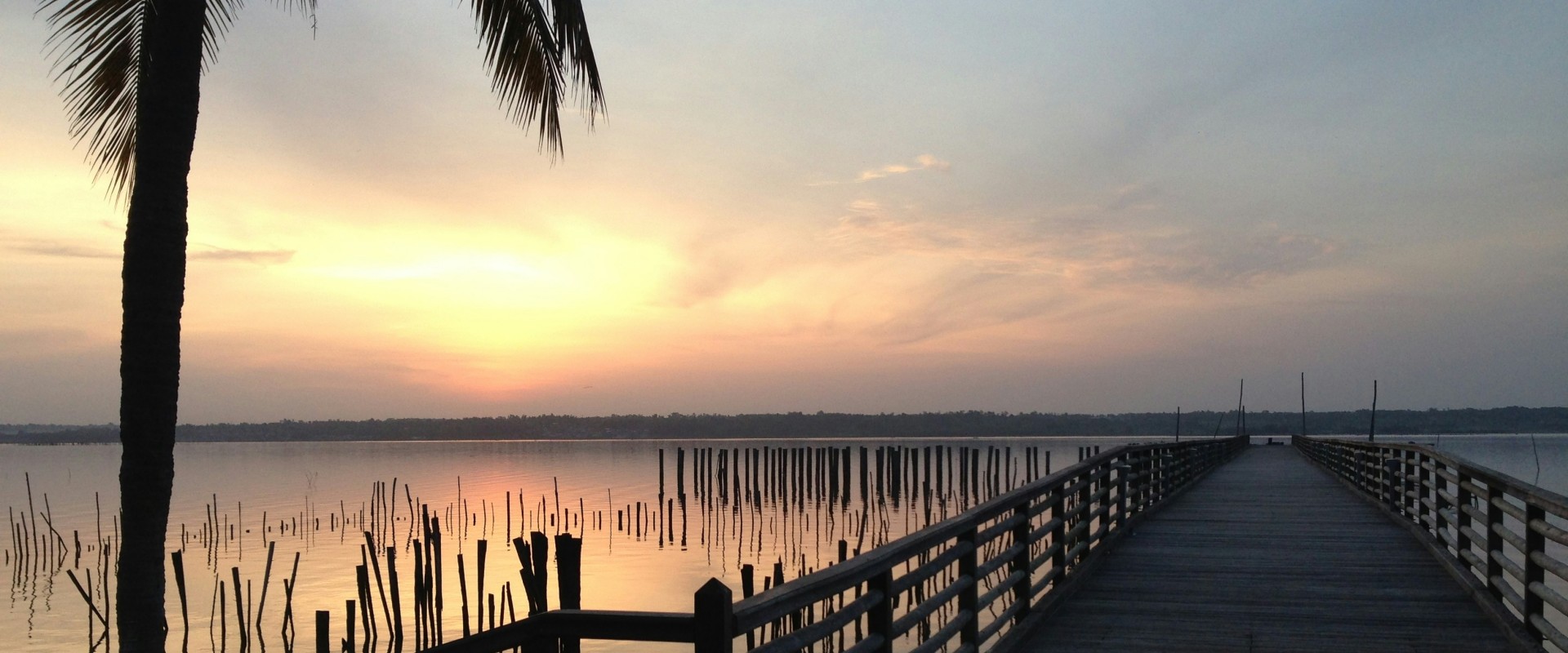 fanick-atchia-tqkzjhnI9i8-unsplash